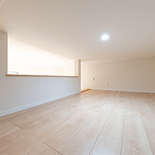 1F ロフト 4.6帖 天井高 100㎝(1)